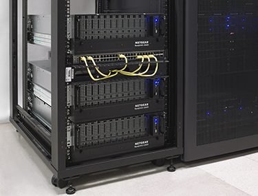 321321 Коммутаторы и маршрутизаторы Netgear